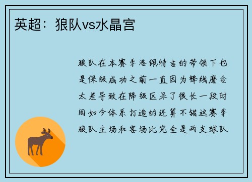 英超：狼队vs水晶宫